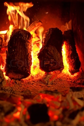 Tatiana Belova-burning-wood-on-fireplace